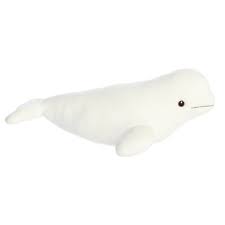 Beluga Whale